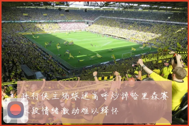 独行侠主场球迷高呼炒掉哈里森赛末段情绪激动难以释怀