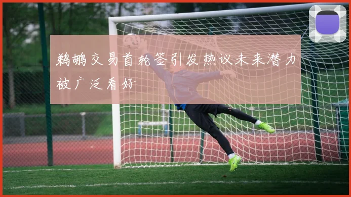 鹈鹕交易首轮签引发热议未来潜力被广泛看好