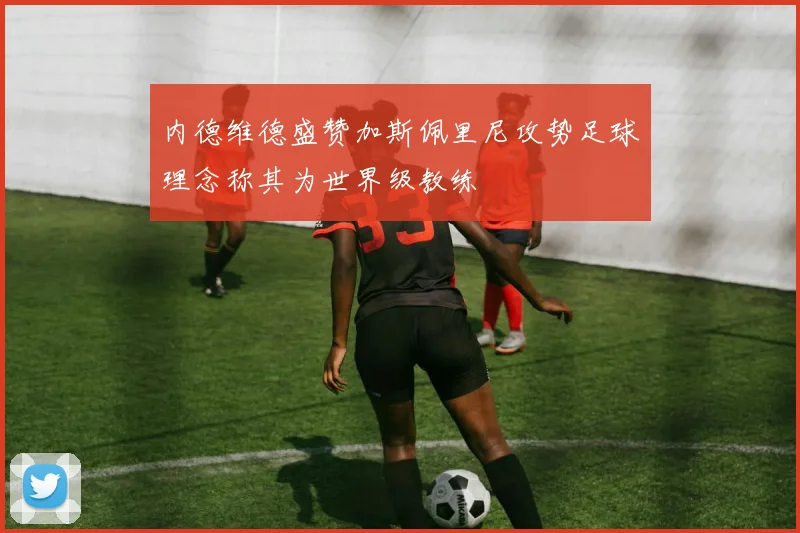 内德维德盛赞加斯佩里尼攻势足球理念称其为世界级教练